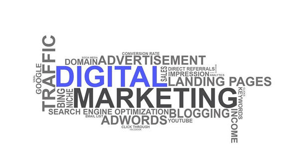 The Shocking Truth About How To Data For Campaigns!